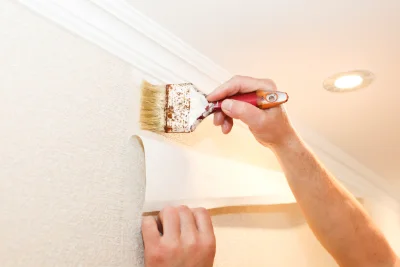Pose de papier peint à Valvignères — revêtements muraux et toiles de verre